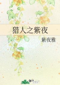 猎人之紫夜